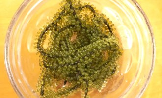 Что такое морской виноград и как его готовить