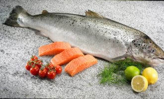 Лосось что за рыба: полезная информация о рыбе и цена на нее в 2022 году