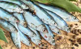 Какую рыбу и какие морепродукты можно есть в Великий пост перед Пасхой