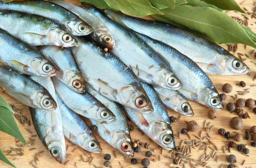 Какую рыбу и какие морепродукты можно есть в Великий пост перед Пасхой