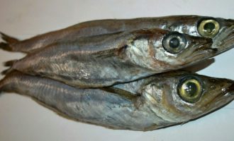 Калорийность рыбы путассу на 100 грамм, польза и вред