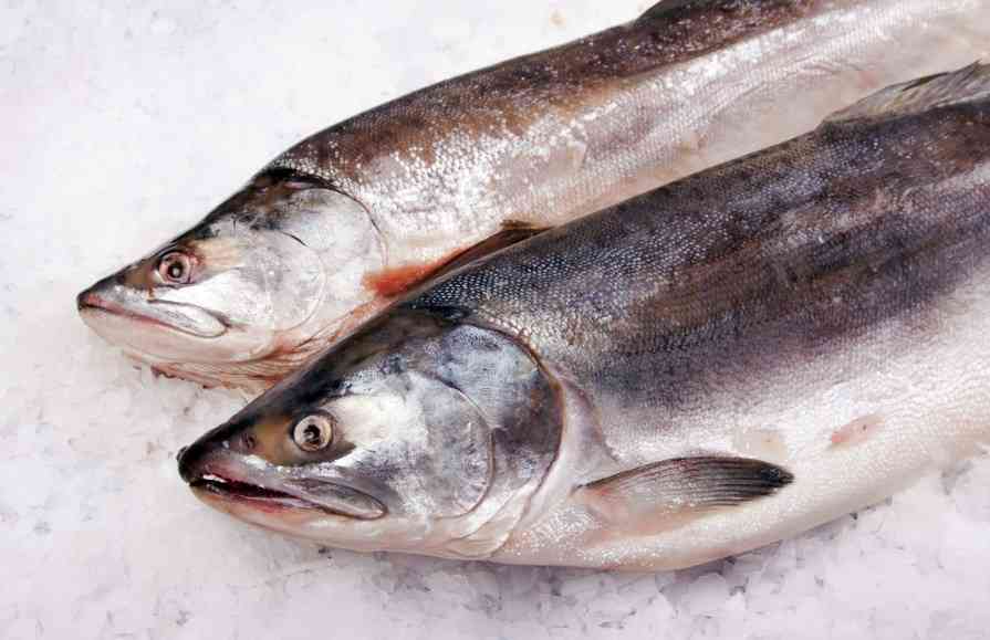 Как в 2022 году изменятся цены на рыбу в России из-за санкций: прогноз экспертов