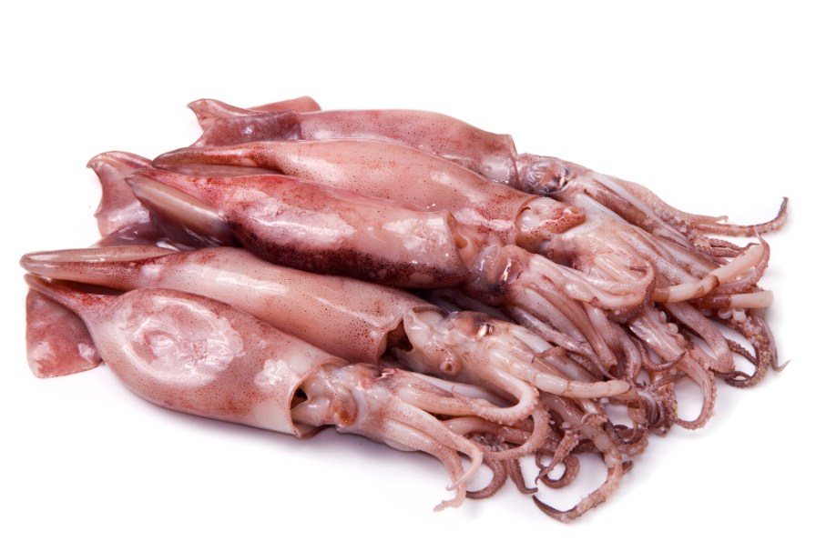 Чем полезны блюда из кальмара и какие изменения произойдут в организме при их употреблении