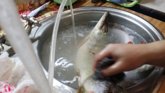 чистка щуки в воде 