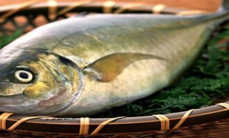 7 видов рыбы без чешуи: почему ее не употребляют в пищу иудеи