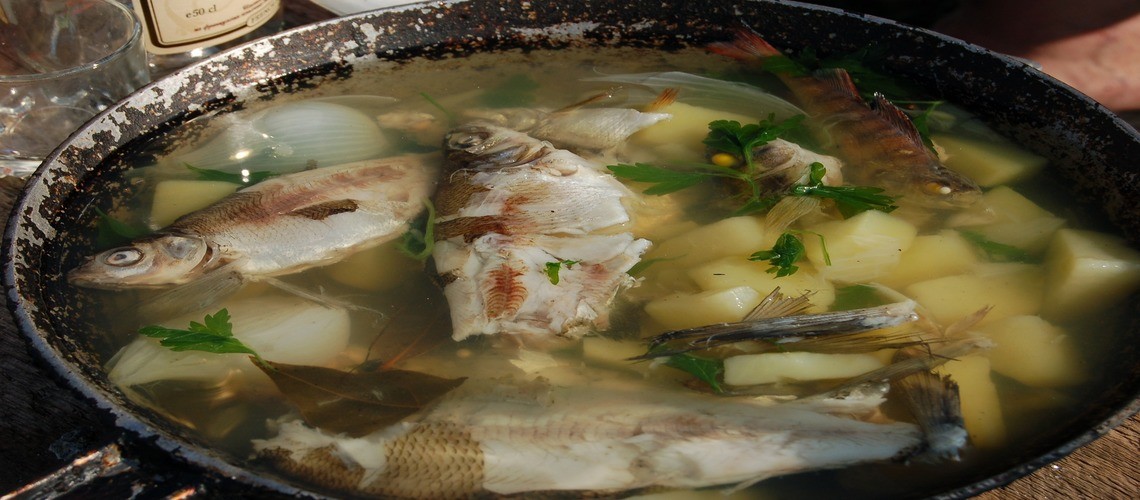Рыбный суп понравится всем: 16 лучших рецептов первых блюд