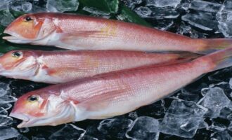 7 видов ртутной рыбы: узнайте как она называется и выглядит