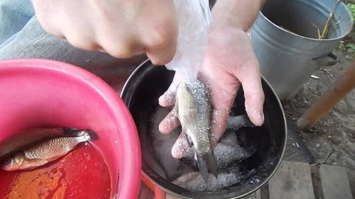 очистить рыбу поможет обыкновенная соль 