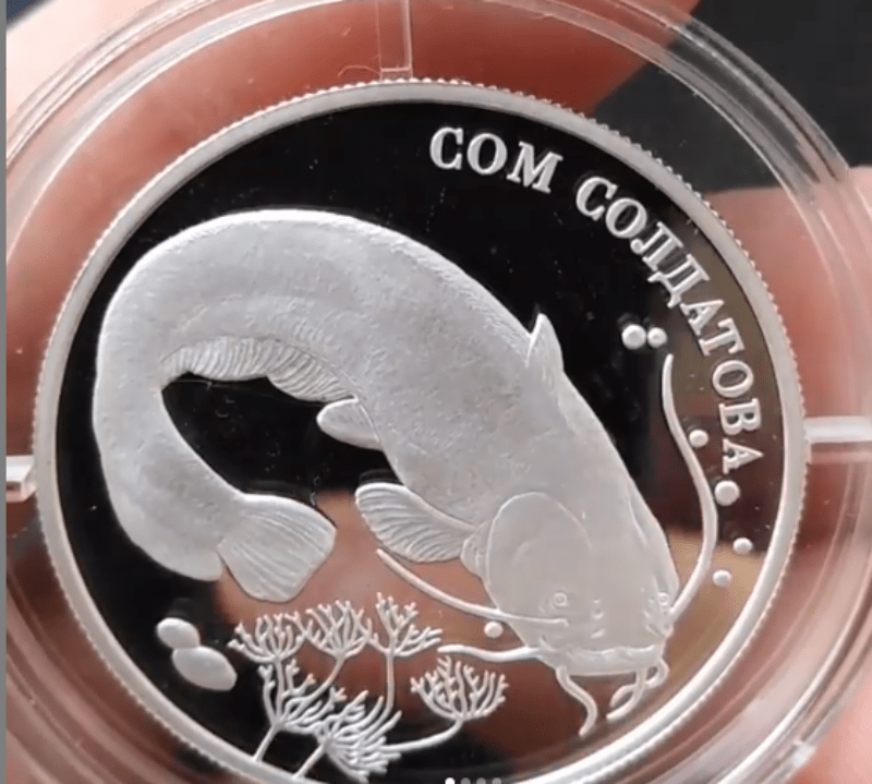 изображение сома на памятно монете 
