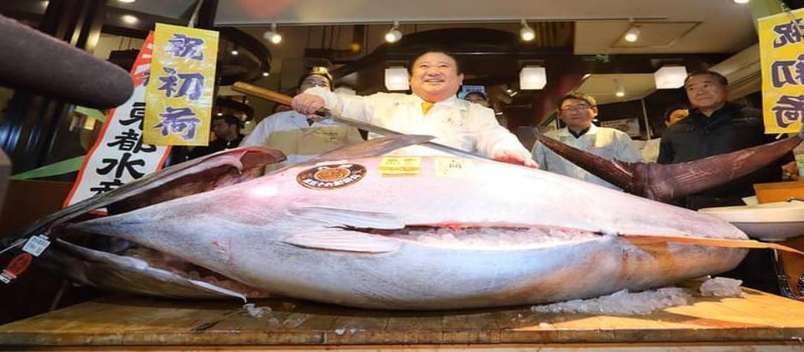 Самая дорогая рыба в мире по мнению лучших поваров: назовем ее цену в 2022 году