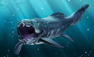 «Бронированная» рыба дунклеостей: грозный хищник своей эпохи