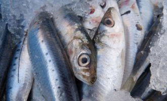 Зачем платить больше: какая дешевая рыба полезнее дорогой