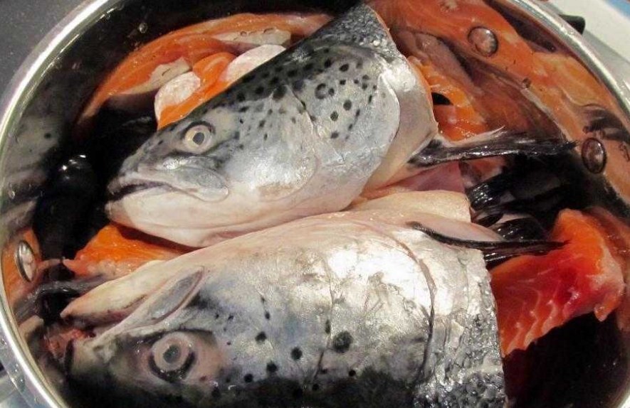 Какая отвратительная рыба: блюда из морепродуктов, которые вы вряд-ли захотите пробовать на вкус
