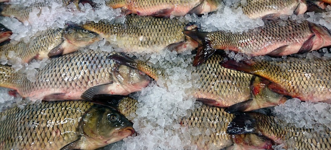 Возмущению нет предела: цены на рыбу растут каждую секунду