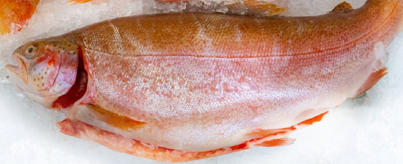 Настоящая и «искусственная»: почему рыба со специальных ферм не так полезна
