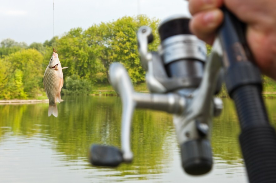 как ловить рыбу 