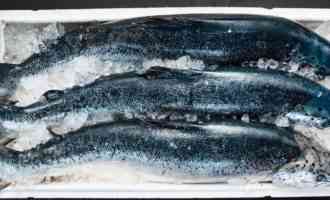 Морская или береговая заморозка рыбы: узнаем, какой способ гарантирует качество