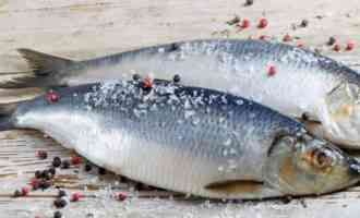 Противостояние сельди и скумбрии: расскажем, какая рыба вкуснее и полезнее