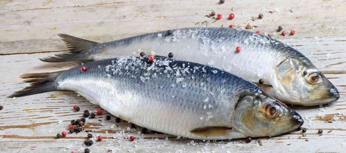 Поговорим о пользе сельди: эти 10 фактов заставят вас употреблять эту рыбу чаще