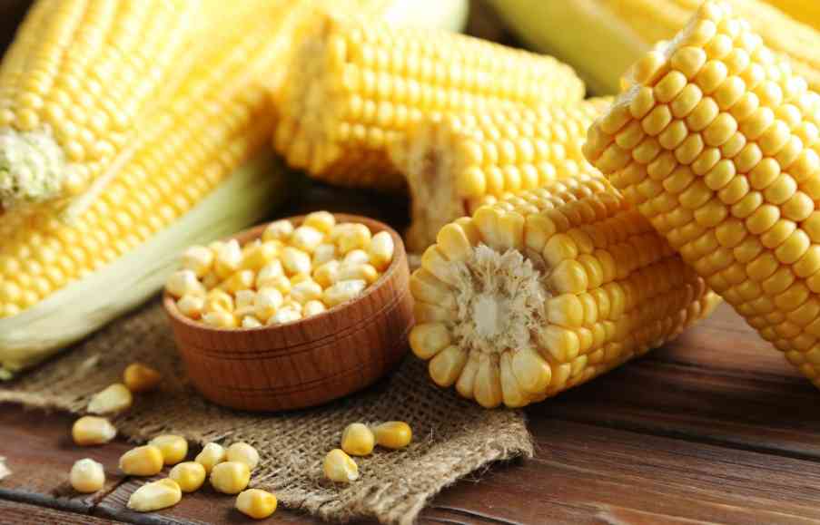 зерна кукурузы 