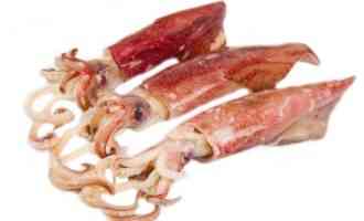 Почему кальмар может горчить: как готовить морепродукт, чтобы не было постороннего привкуса
