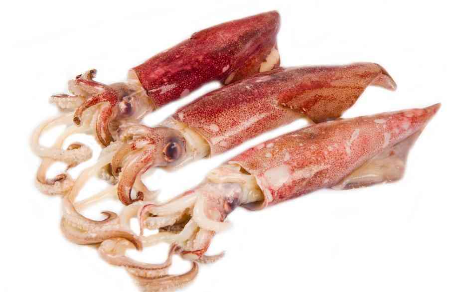 Почему кальмар может горчить: как готовить морепродукт, чтобы не было постороннего привкуса