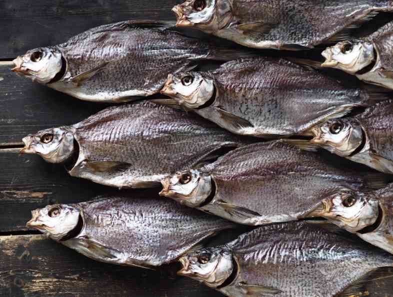 Астраханская вобла: как выглядит рыба, особенности ее использования